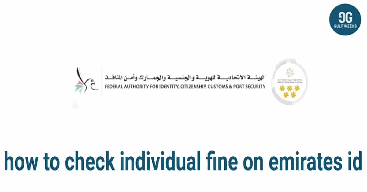 how to check individual fine on emirates id