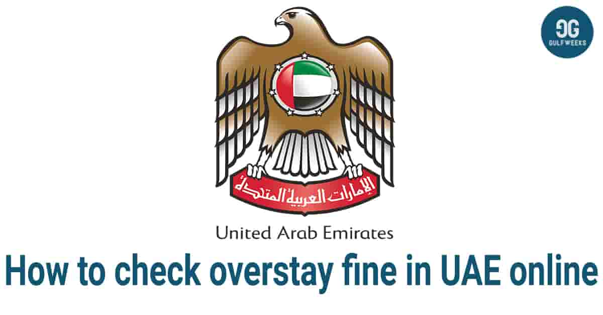 How to check overstay fine in UAE online