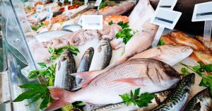 Ajman Fish Market Timing